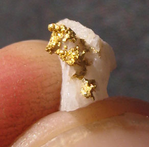 Gold Metal Detecting Tip - gold specimen