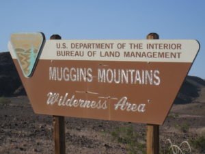 Arizona gold metal detecting