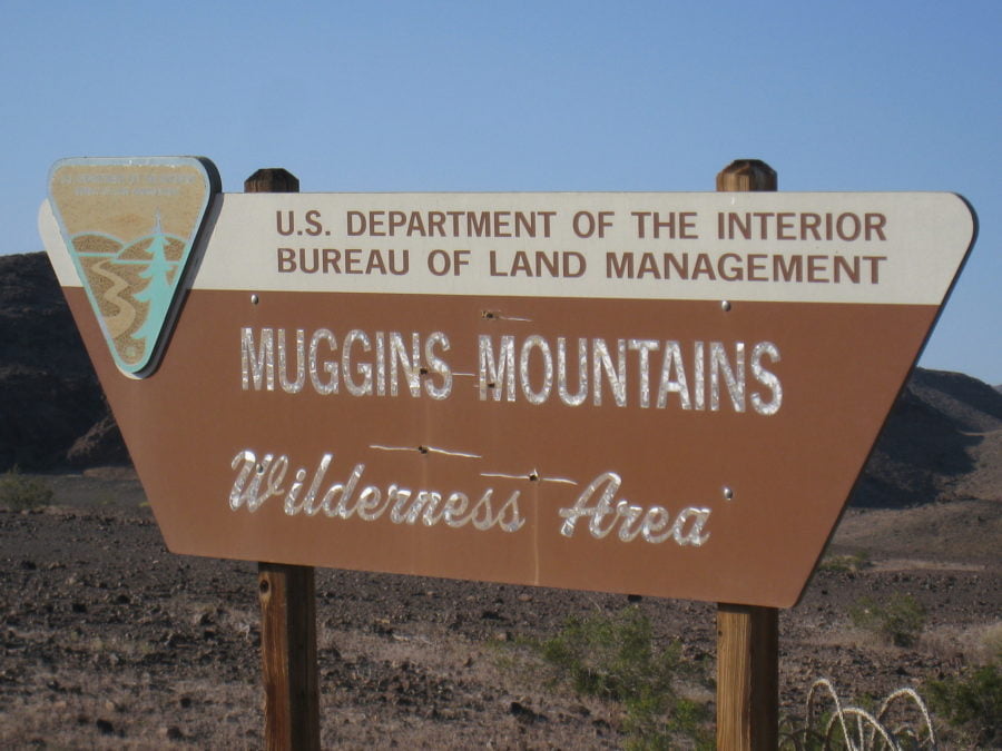 Gold Metal Detecting California Gold Rush Miner