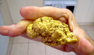 California gold nugget