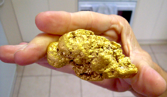 California gold nugget - spot price of gold