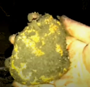 large gold nugget - Volcanic Gold Nugget Metal Detecting