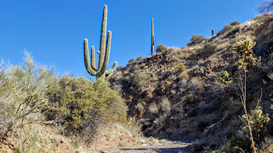 castle hot springs road - Gold Prospecting Arizona