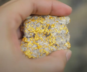gold nugget specimen - Volcanic GOLD NUGGETS