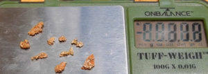 nugget patch gold nuggets