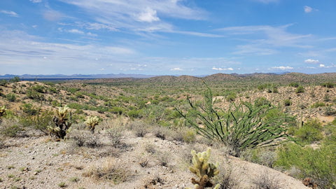 Arizona gold prospecting area - Arizona Gold Prospecting Hazards