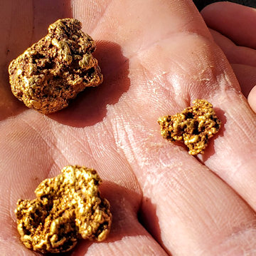 Arizona Gold Nugget Prospecting - metal detecting Arizona gold nuggets