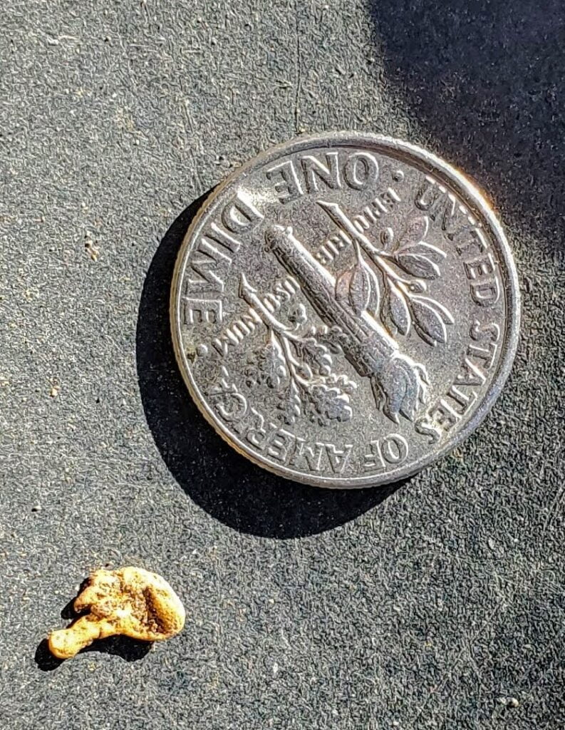 Arizona Gold Prospector's Dream Metal Detecting California Gold Rush