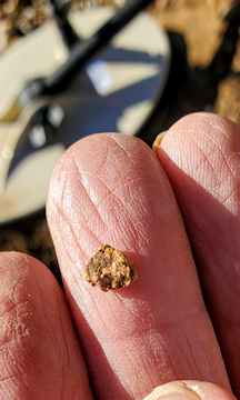 AZ gold nugget detecting - Arizona Gold Prospector's Dream