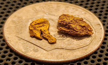 Arizona Gold Prospector's Dream - Phoenix gold nuggets
