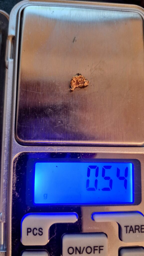 Arizona gold nugget - My most recent find